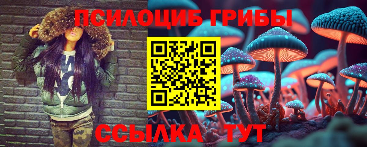 Псилоцибиновые грибы Psilocybe Лосино-Петровский