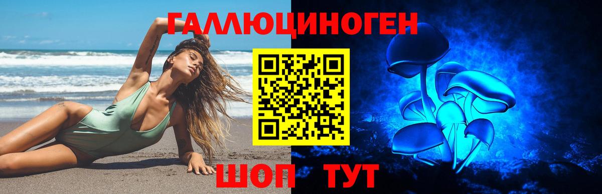 Лосино-Петровский  Псилоцибиновые грибы Psilocybe  Вход с VPN 
